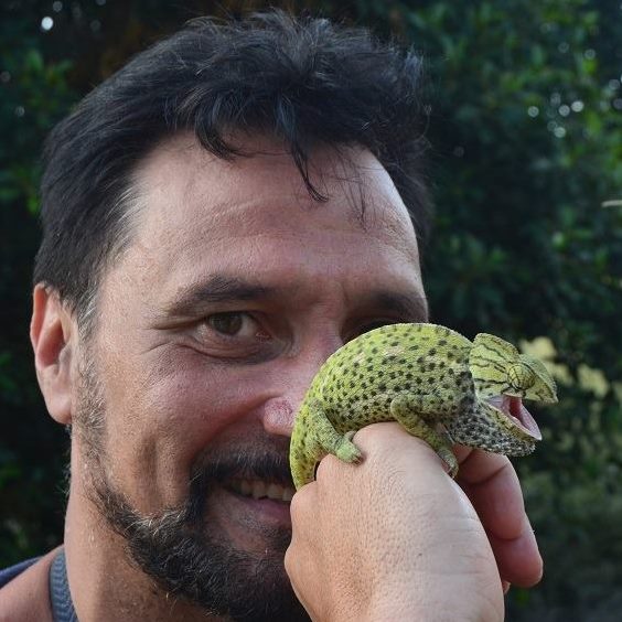 Albert Martinez Silvestre 2018 Albert Martinez Silvestre 2018