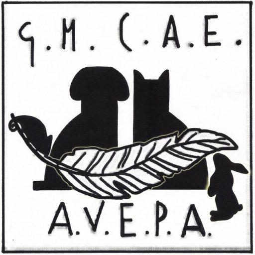 Cropped Logo Nuevo Gmcae