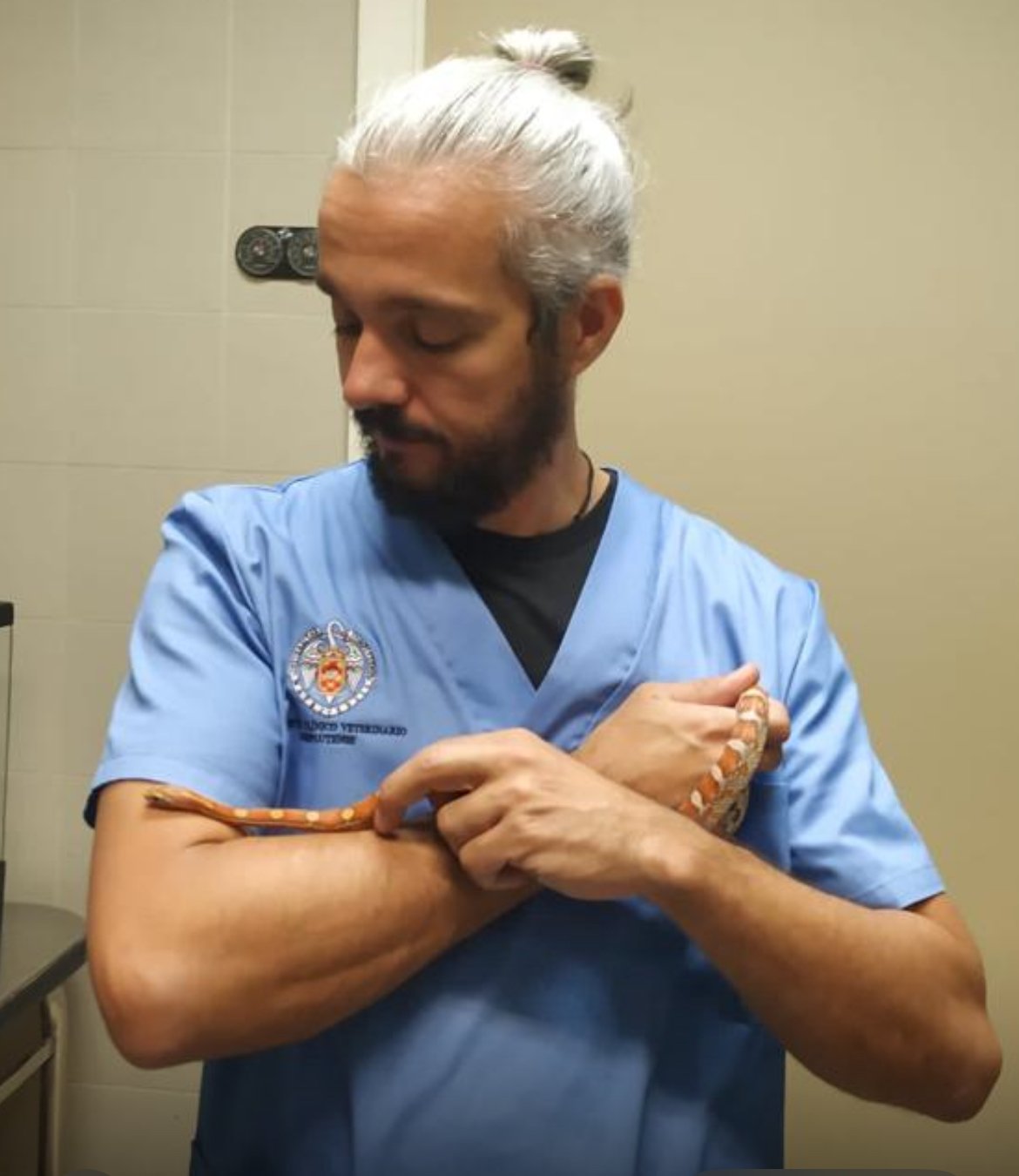 Imagen Gmcae Imagen Gmcae