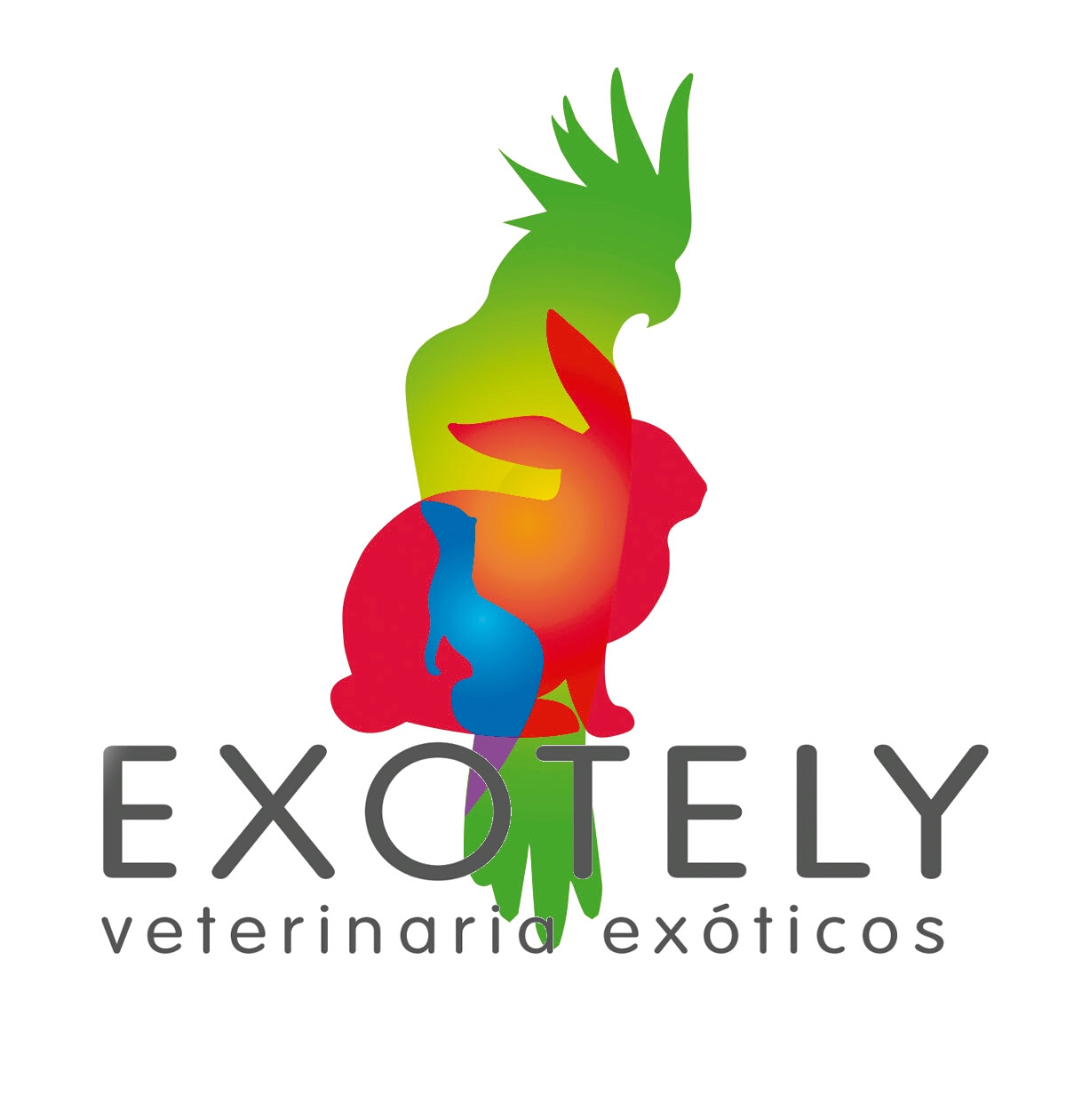 Logo Exotely