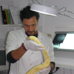 Albert Martinez 150×150 Albert Martinez 150x150